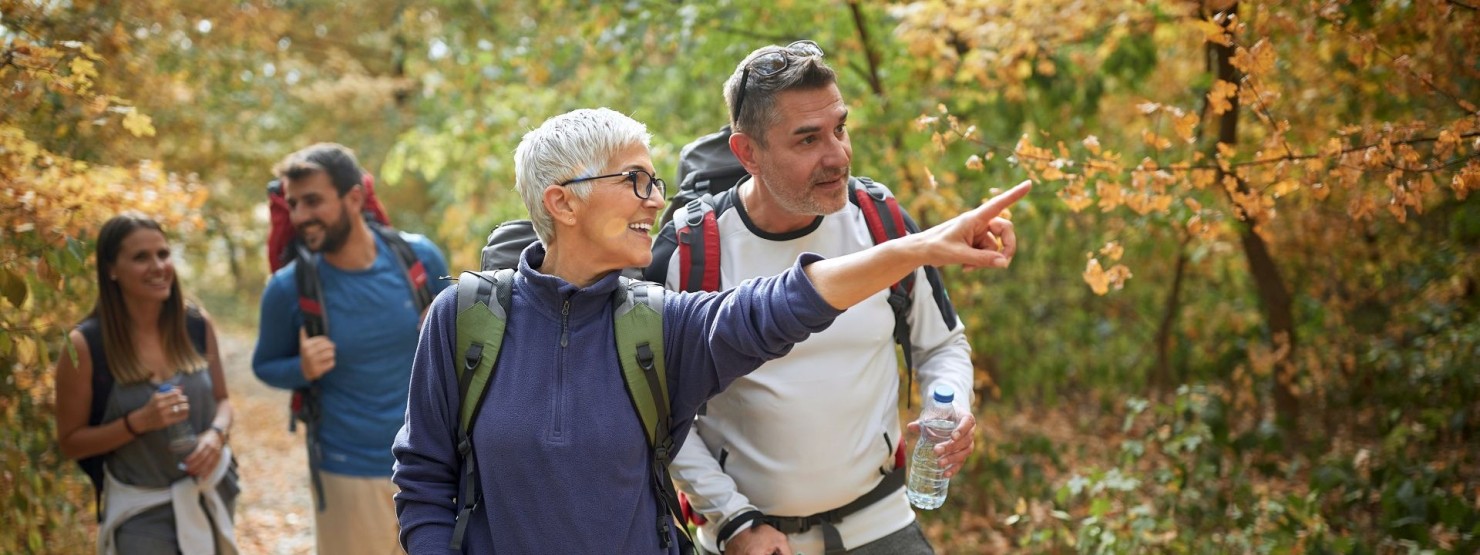 Vier Personen wandern durch den Herbstwald.