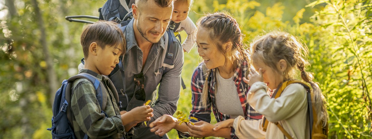 Familienvater erklärt seinen Kindern Pflanzen auf einem Waldausflug.