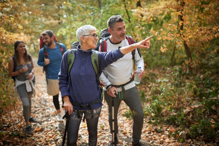 Vier Personen wandern durch den Herbstwald.