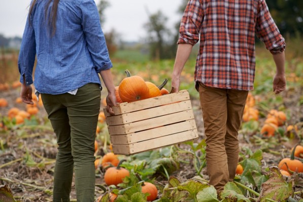 C-Content Regionale und saisonale Ernährung 4